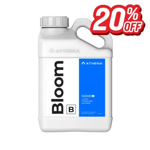 Athena Bloom B 1GAL