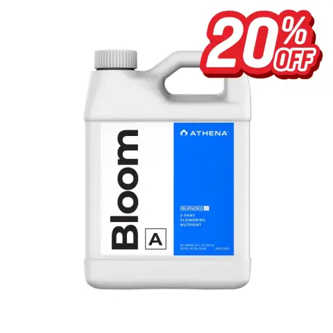 Athena Bloom A 32 OZ