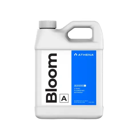 Athena Bloom A 32 OZ