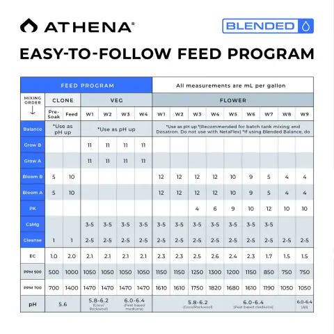 Athena Blended Line Starter Kit 32 oz 4